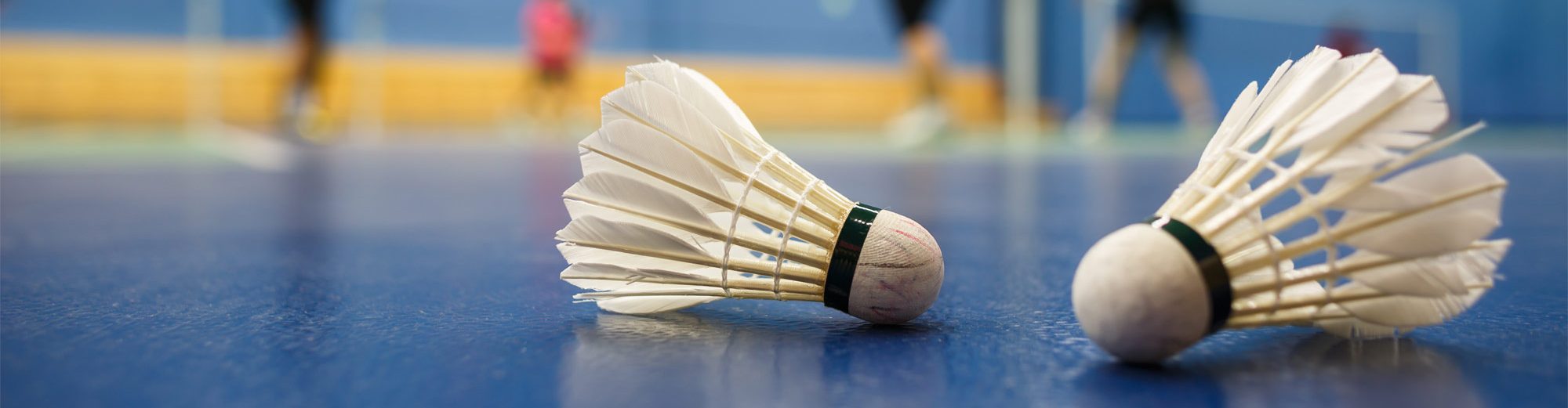 Badminton Vereniging Breukelen